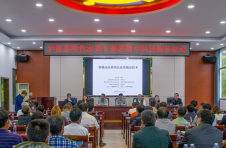 湖南泸溪：科技专家集中服务 助力乡村振兴