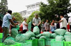 凤凰今年首批蚕茧喜获丰收  鼓起村民钱袋子