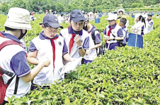 益阳市以农旅融合发展助力乡村振兴综述