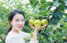 长沙望城桥驿镇群力村：走出特色种植产业发展新路子