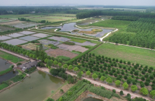 首家国家级湿地植物林木种质资源库在沅江生根