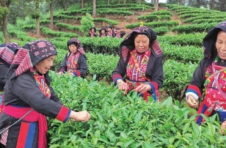 又见湘赣红——罗霄山脉西麓巡礼