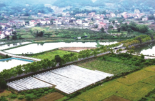 湖南宁乡：建设最美农村路 叩开乡村振兴门
