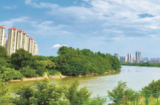 湖南宁乡：绿水青山织锦绣