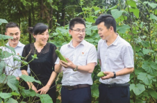 彭育晚：转战乡村振兴新战场