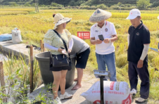 花垣：“稻渔综合种养”测产实现双丰收