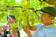 湖南韶山：伟人故里与布拉克的“双向奔赴”