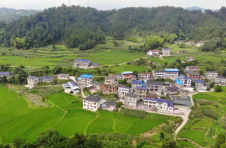 湖南慈利：“美丽庭院”迎客来