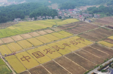 湖南省衡阳县：农民趣味运动会庆丰收