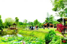 岳阳经开区：青山绿水风景美 三农发展产业兴
