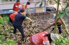 株洲石峰区：幸福小区携手共建 美好生活共同缔造