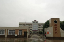 大通湖区：提质增效 焕发教育新活力
