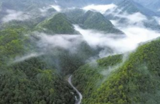 湖南林长制从“全面建立”走向“全面见效”