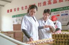 朱静波：“铿锵玫瑰”返故乡振兴路上绽芳华