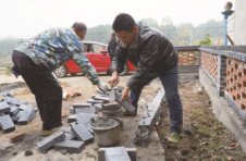 湖南宁乡：党建引领筑梦乡村振兴