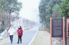 长沙县江背镇：“小事不出村”，用法治绘就美丽乡村新画卷