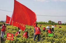 望城区实施“闪亮工程”引导党员发挥先锋模范作用