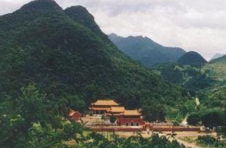 全国“十佳林场”，湖南夺得三席